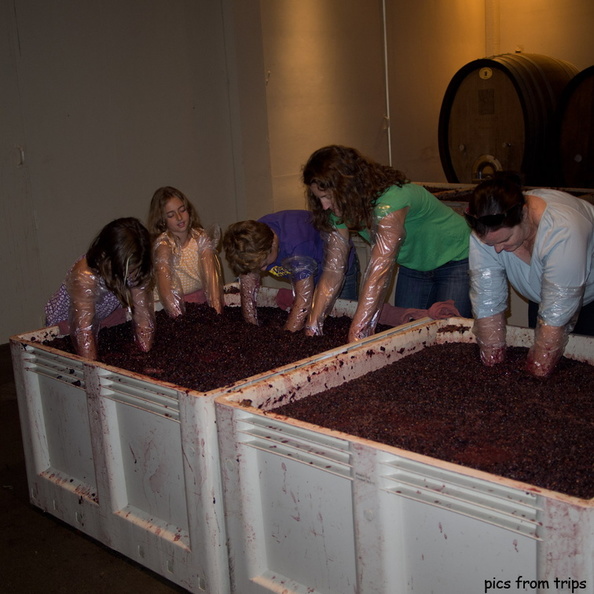 crushing grapes2011d26c090.jpg